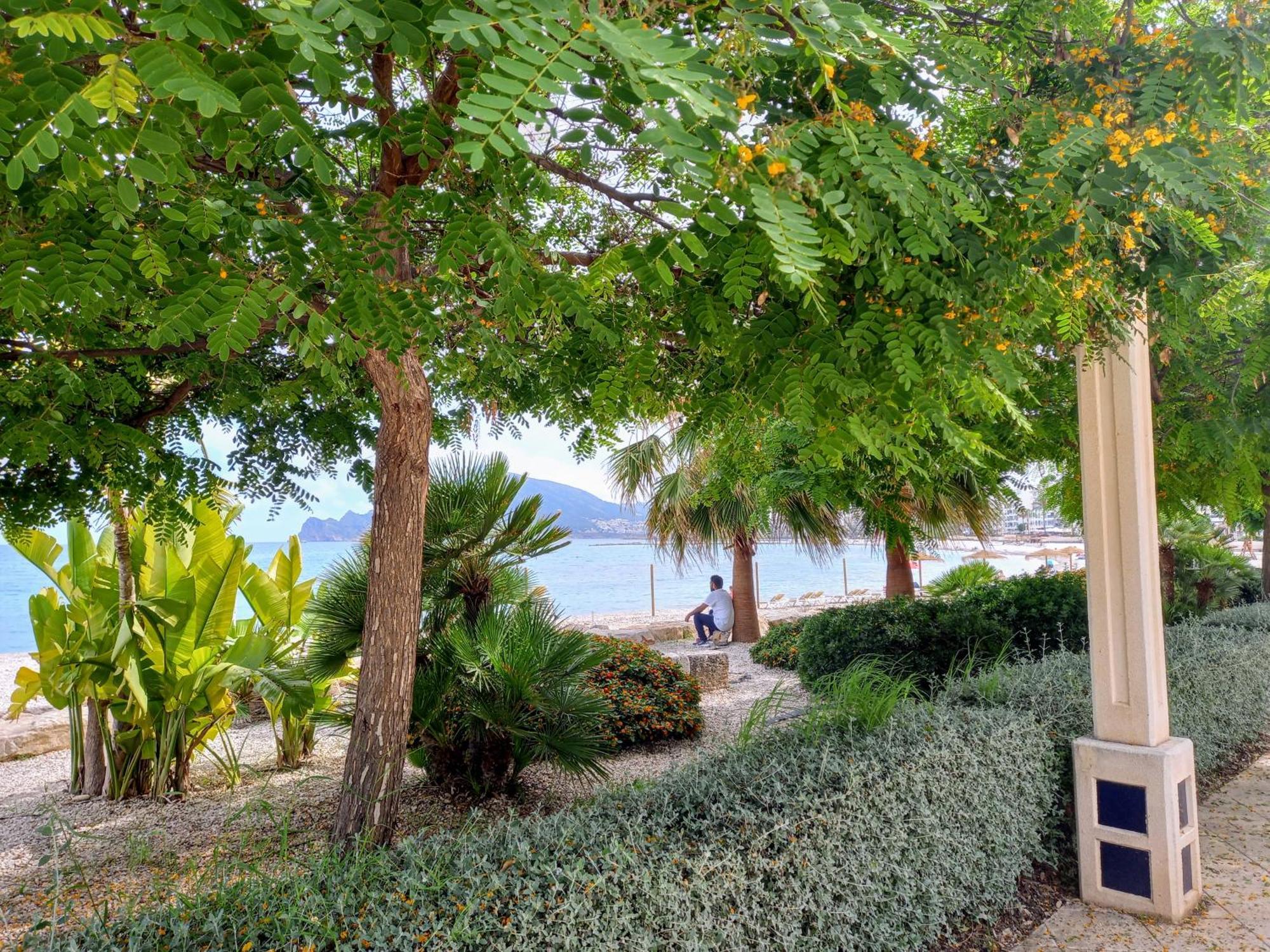 Townhouse Los Olivos M アルテア エクステリア 写真